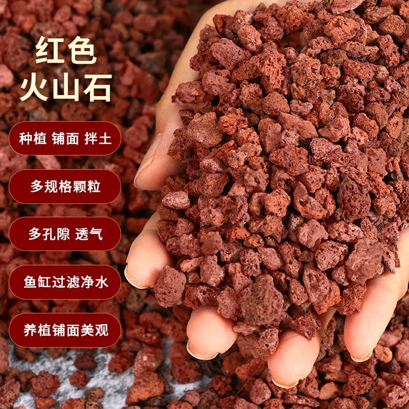 火山石颗粒兰花专用土铺面石多肉盆栽水族家用兰科植料透气火山岩