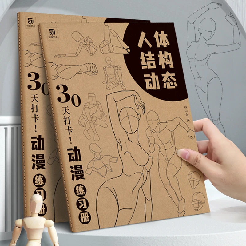 人体结构动态 30天打卡 动漫临摹练习册 漫画人物手绘基础入门
