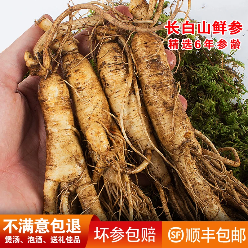 天长山改价链接，林下参