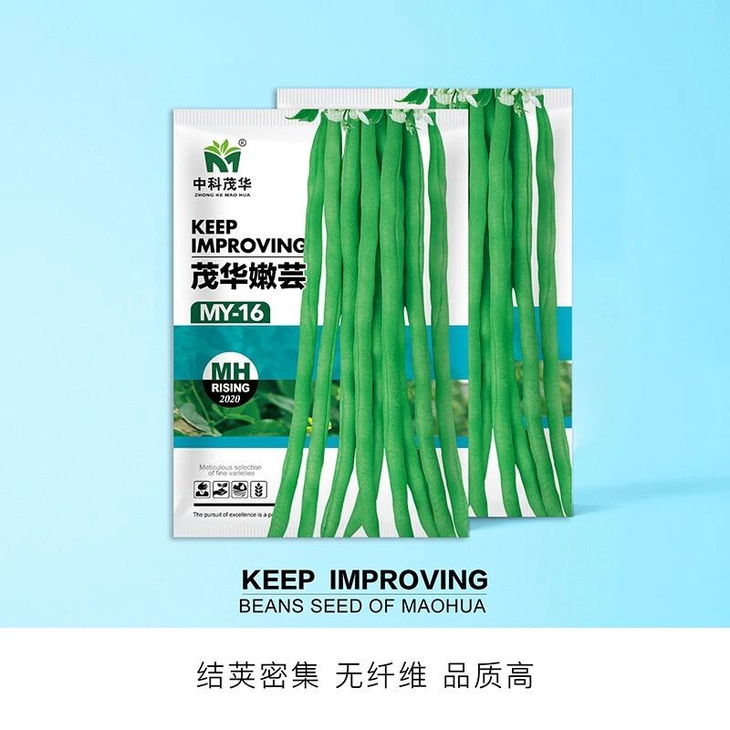中科茂华蔬菜种子茂华嫩芸泰国架豆种子红籽豆角种子四季芸豆角