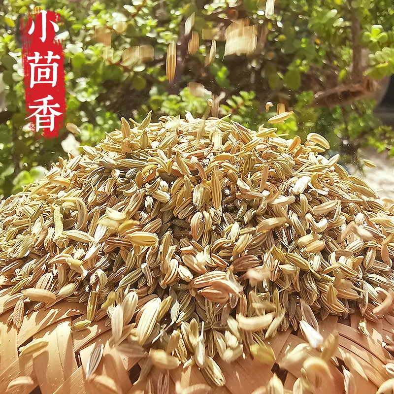 山野兄弟广西高品质小茴香调料菜农产品调料香料小茴香100g