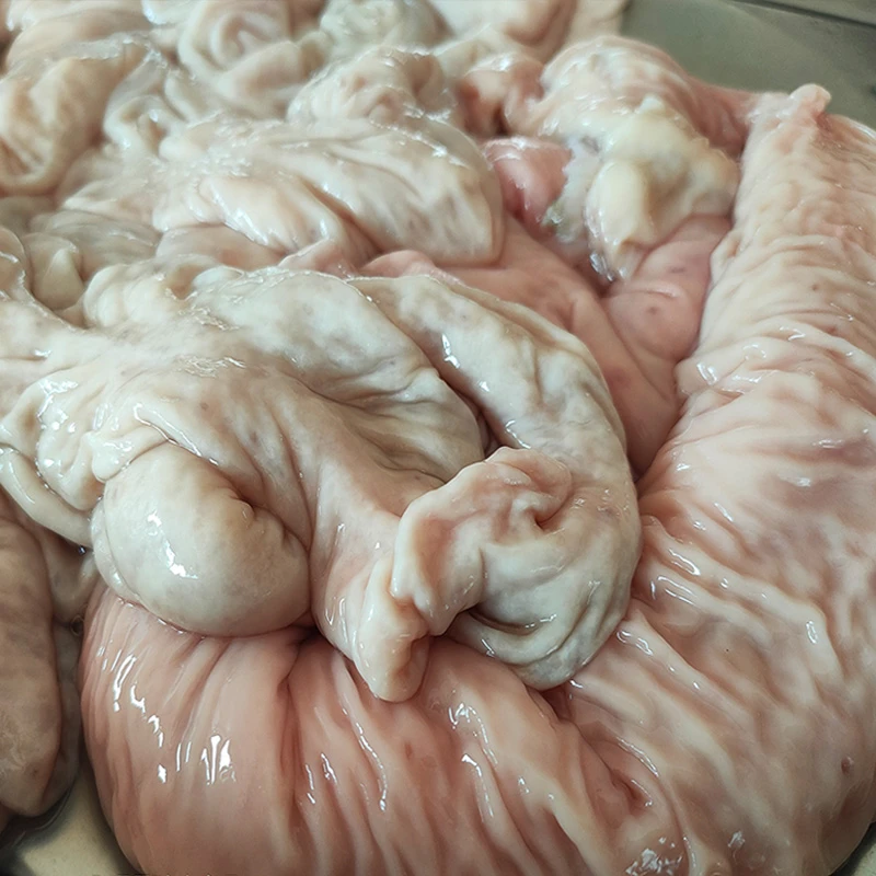 大别山黑山猪肉新鲜猪大肠猪内脏土黑猪大肥肠大肠头生猪肠2000g