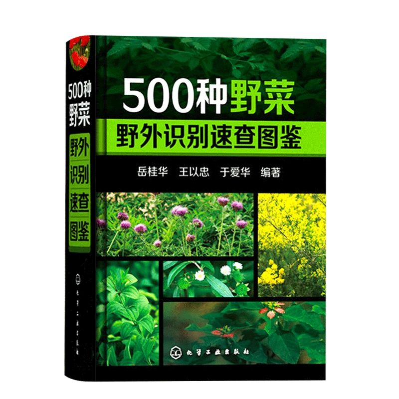500种野菜野外识别速查图鉴 岳桂华