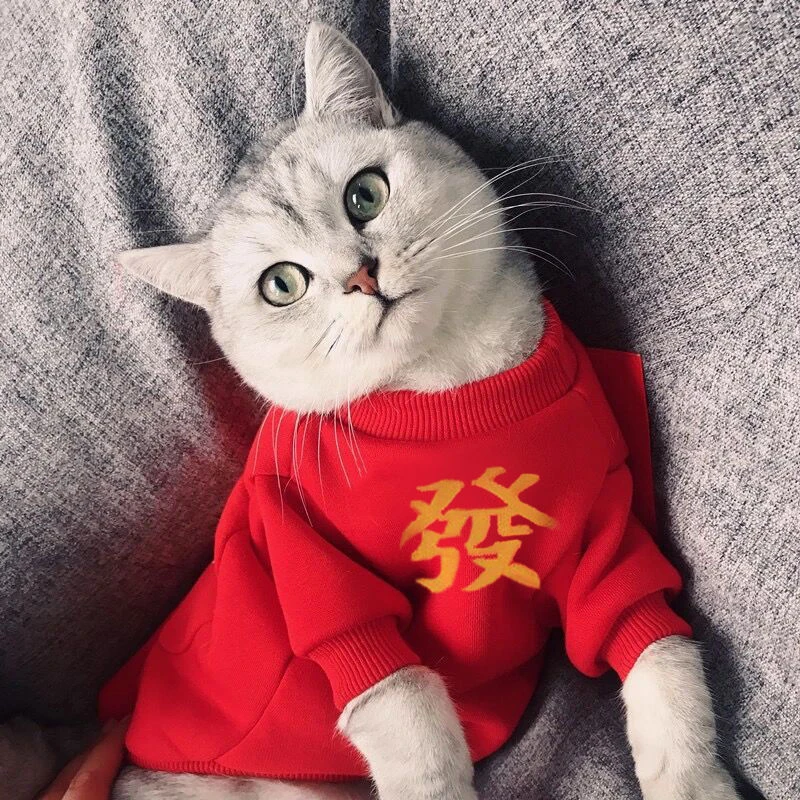 【集喵社】猫咪衣服秋冬装过年狗狗宠物衣服加绒保暖防掉毛宽松衣服
