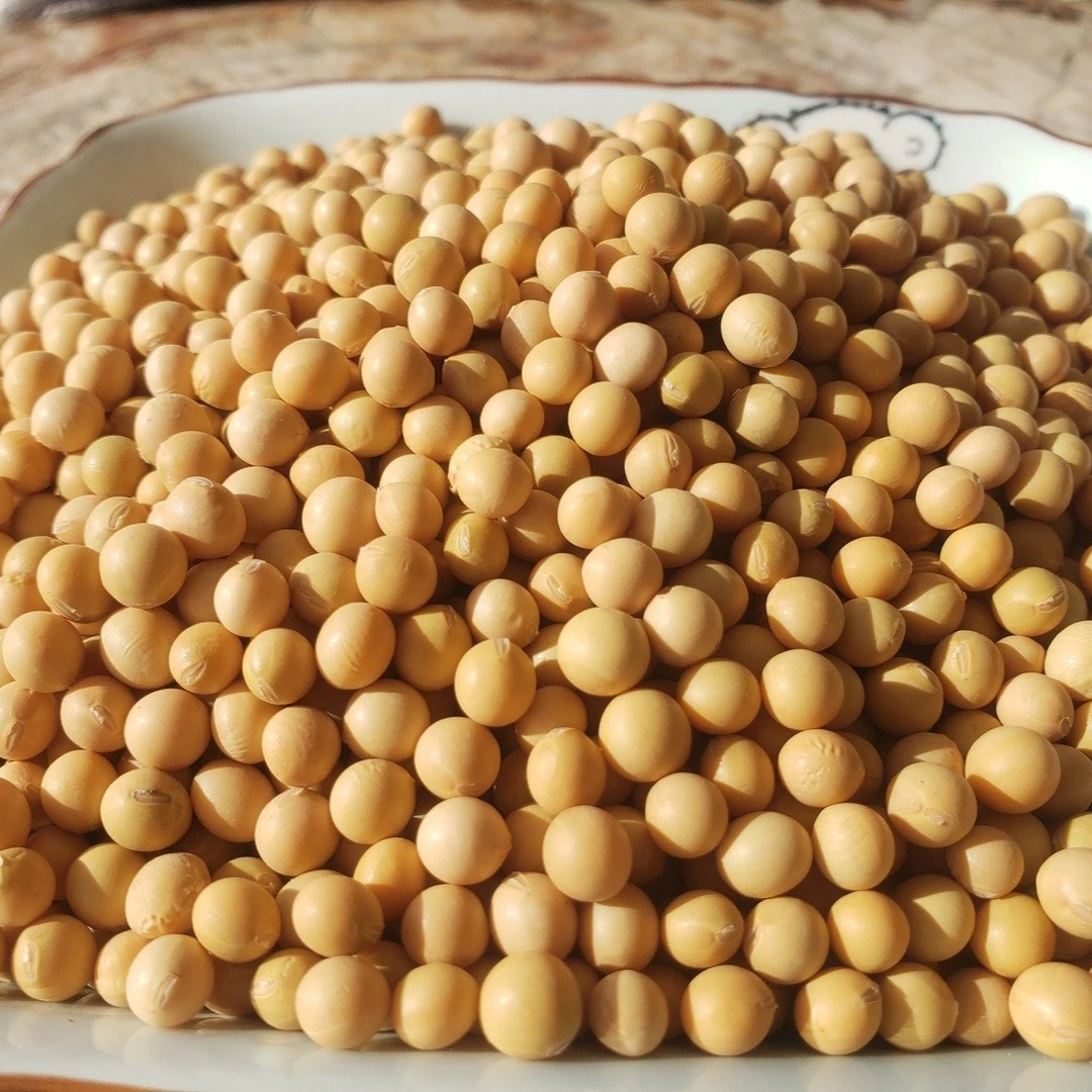 黑龙江伊春 黑土地黄豆 2500g