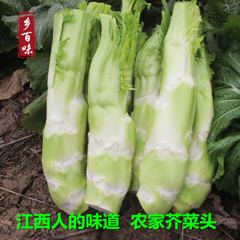 农家自种菜头江西农家现摘新鲜菜头菜梗蔬菜青菜头棒棒菜头2500克