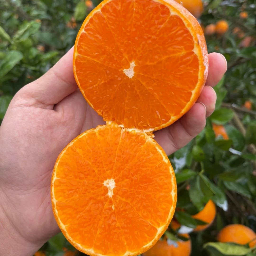 普通快递广西茂谷柑脏脏柑5/8斤净重 现摘新鲜皮薄当季水果橘橙香
