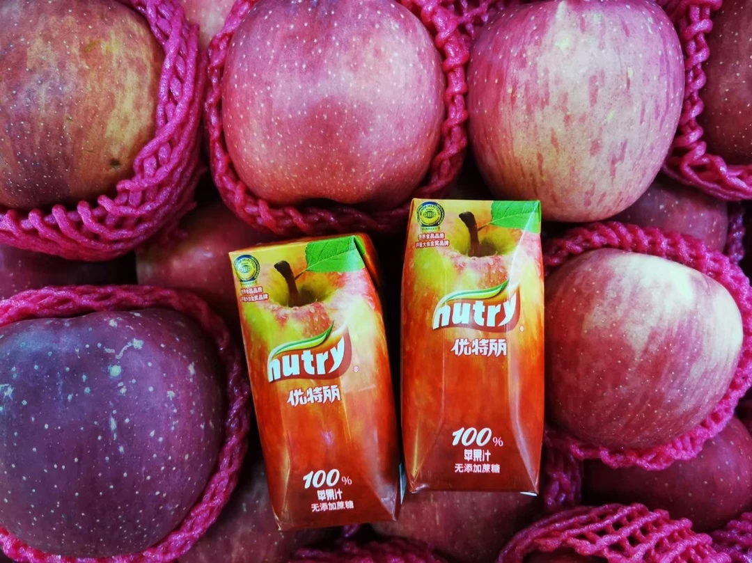 NUTRY/优特丽清甜苹果汁200ml*6瓶