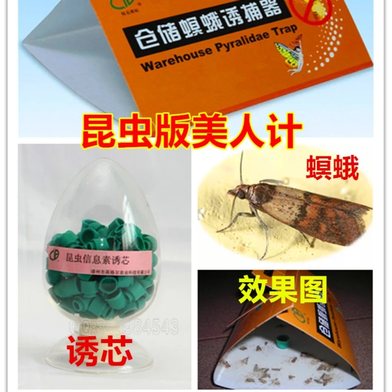 印度谷螟诱芯诱捕器性诱剂诱虫板仓储螟蛾诱捕器飞蛾蛾类杀手专用