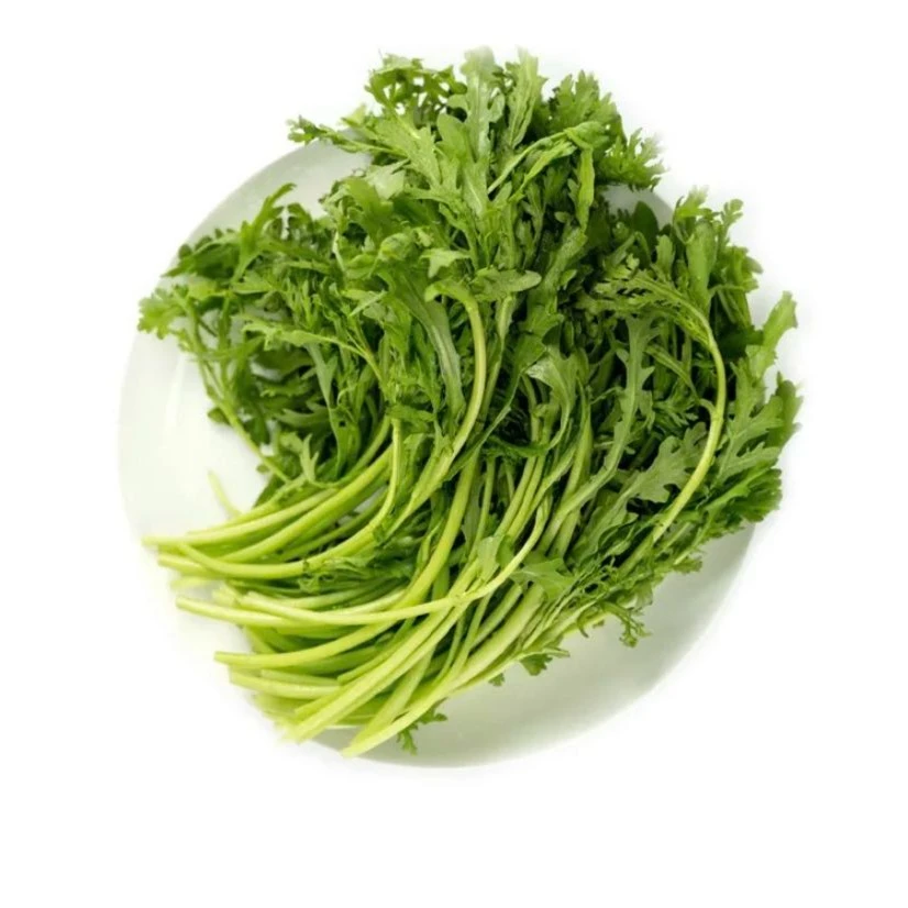 光杆茼蒿种子 茼蒿种子 皇帝菜种子