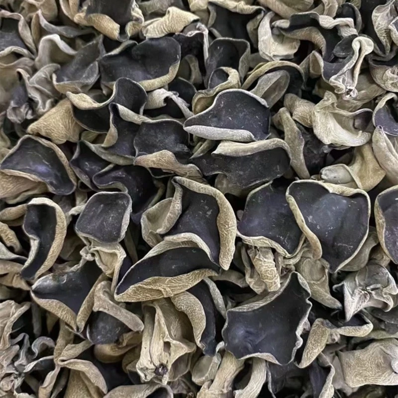 东北秋木耳小碗耳黑木耳肉厚家特产无根木耳黑龙江特产木耳