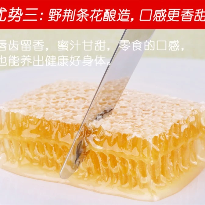 可以嚼着吃的好吃蜂巢蜜成熟(小苏养蜂场-不纯包退)