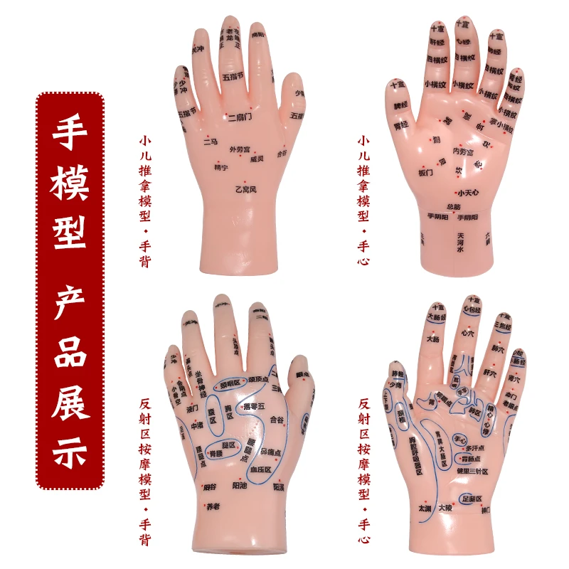 大号手部模型高清大小手反射区模型手掌手背推拿针灸点穴按摩穴位