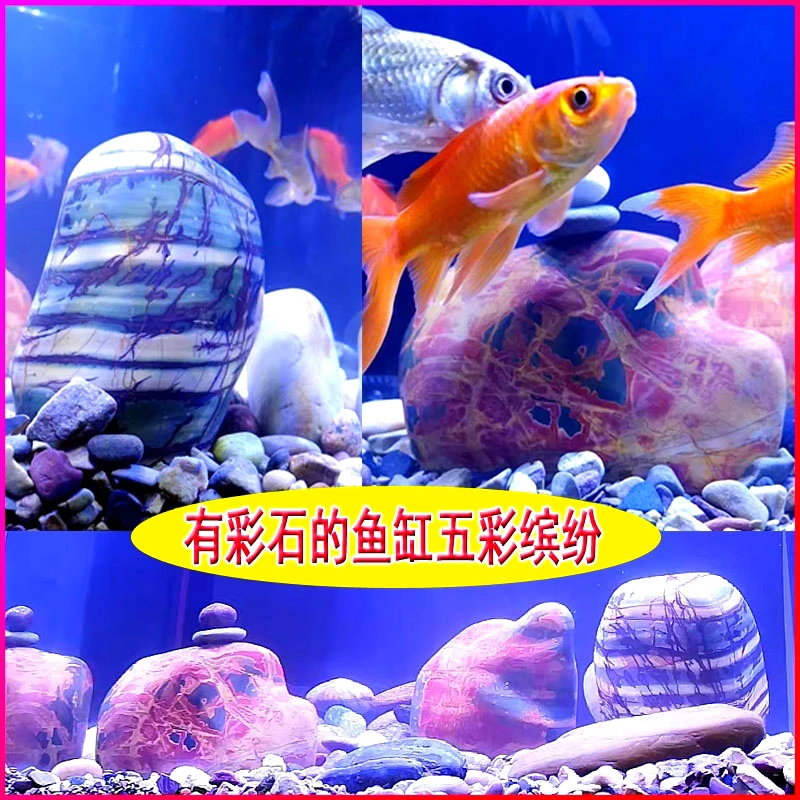 YGS-TJ乳源彩石花盆摆设石头鱼缸鱼池石别墅铺地/1公斤以下(一个)