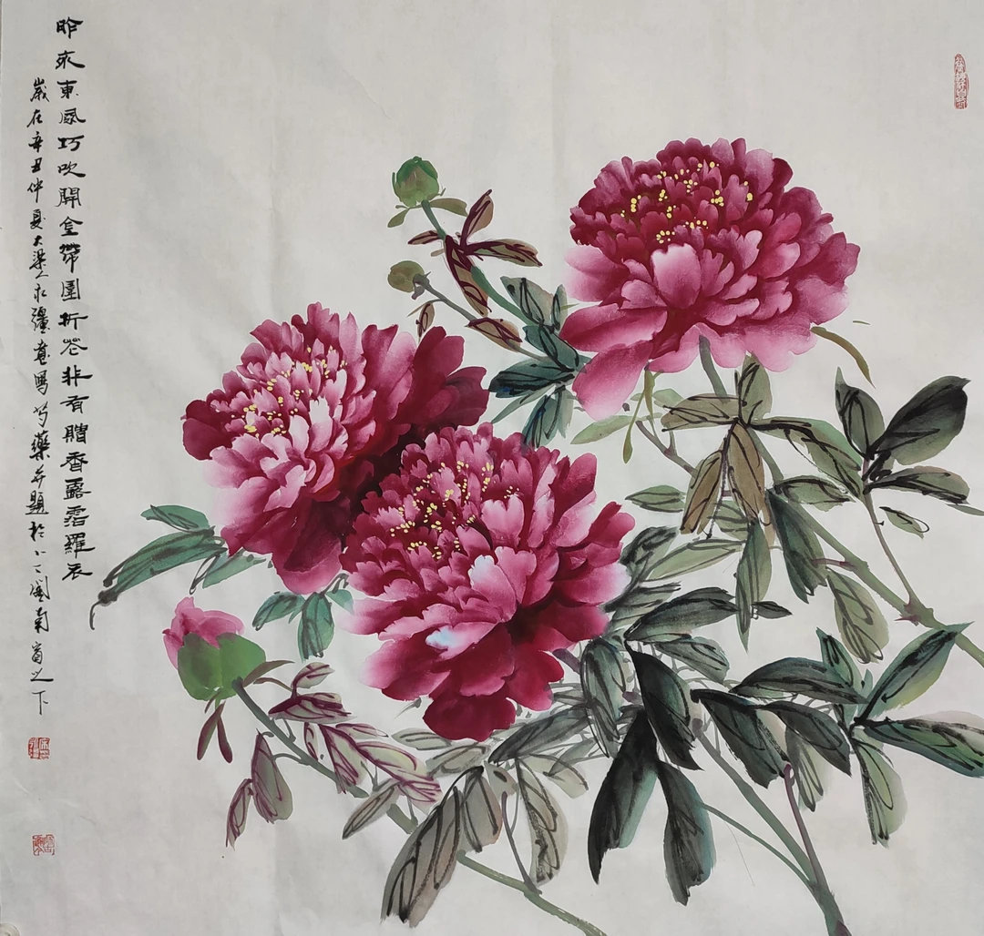 四尺牡丹软片纯手工绘制精品