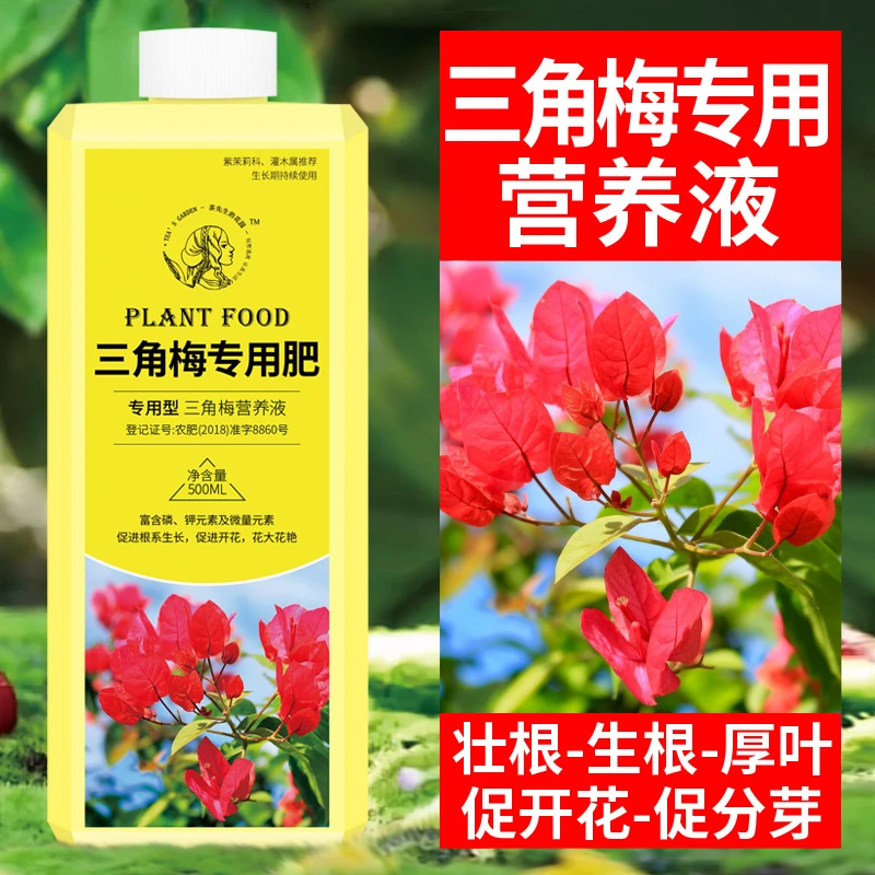 三角梅专用肥开花肥料促生长植物营养液养花花木浇花通用型液体肥
