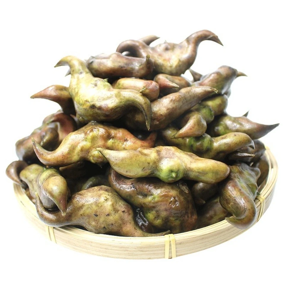 洪湖颜姐老菱角/嫩菱角4斤/顺丰包邮去壳菱角米大菱角