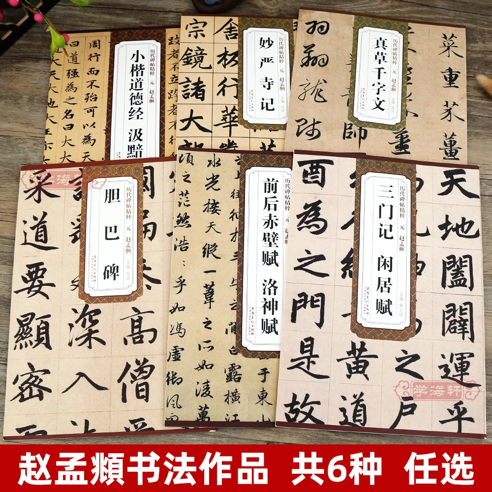 6本赵孟頫胆巴碑妙严寺记前后赤壁赋洛神赋道德经三门记毛笔字帖