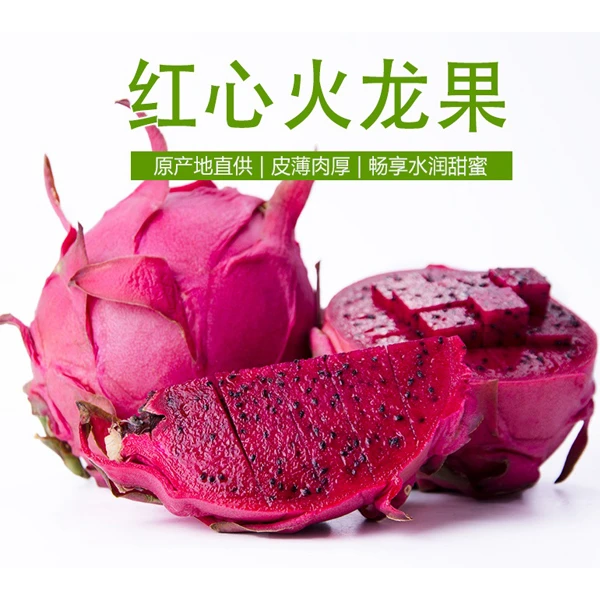 广东台山“北陡鑫泽”新鲜鲜甜多汁红心火龙果6斤