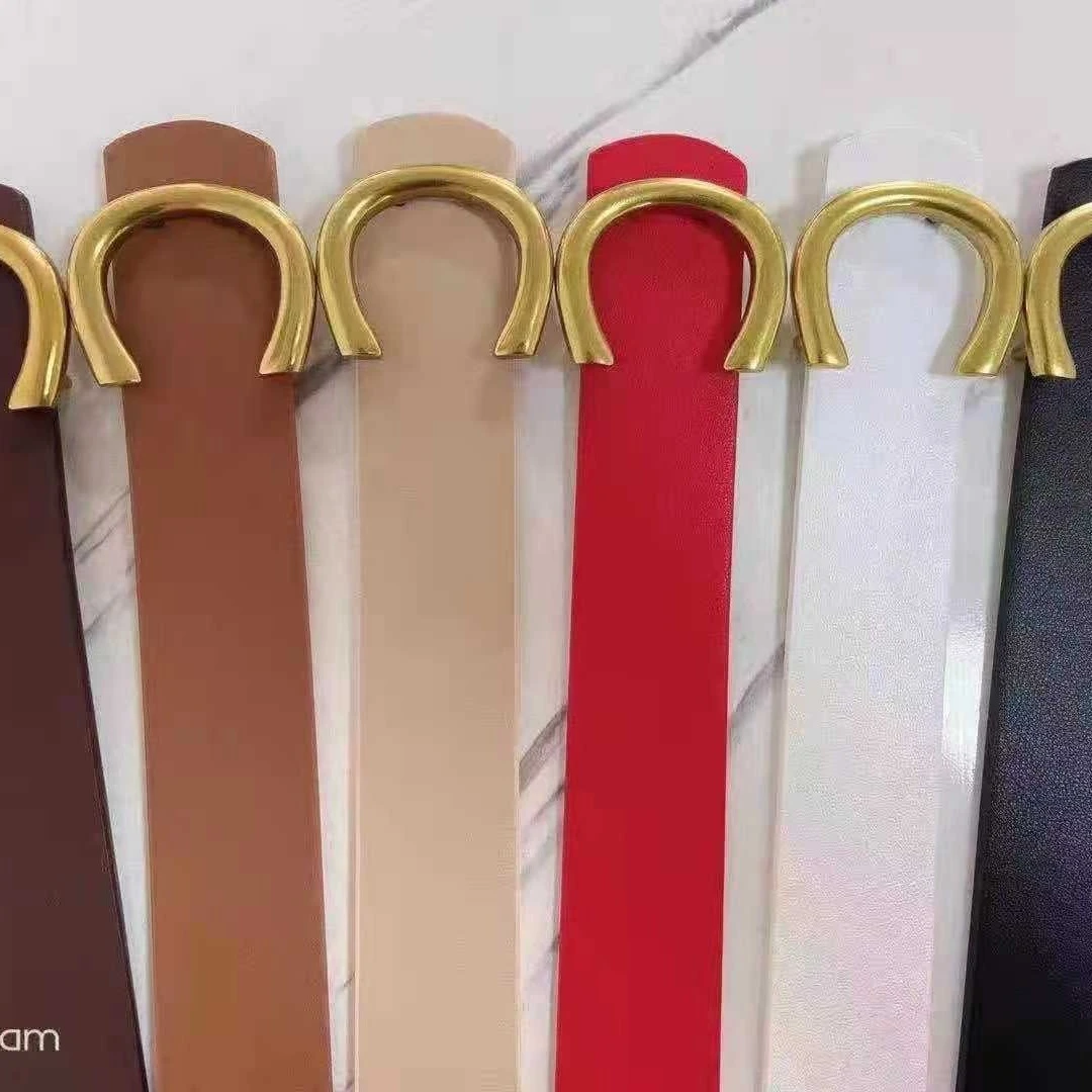 【丽莎推荐】 2024新款双排扣腰带高级时尚百搭简约ins网红韩版女士