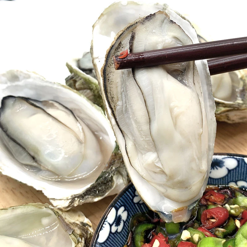连云港发货  生蚝花边生蚝  5斤/10斤 鲜活肥美