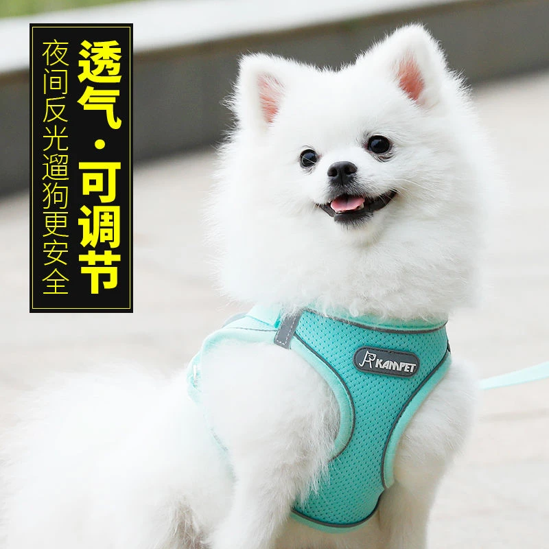 背心式狗狗牵引绳小型犬胸背带小狗幼犬遛狗绳泰迪比熊博美狗链子