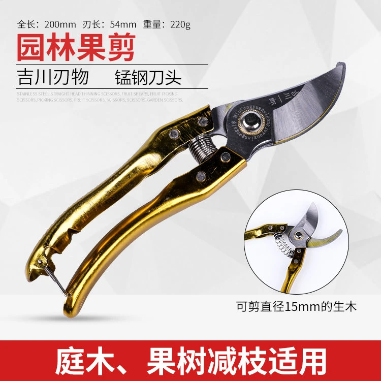 剪枝剪修枝剪日本果树德国园林园艺剪刀手剪桑剪摘果剪刀剪子采果