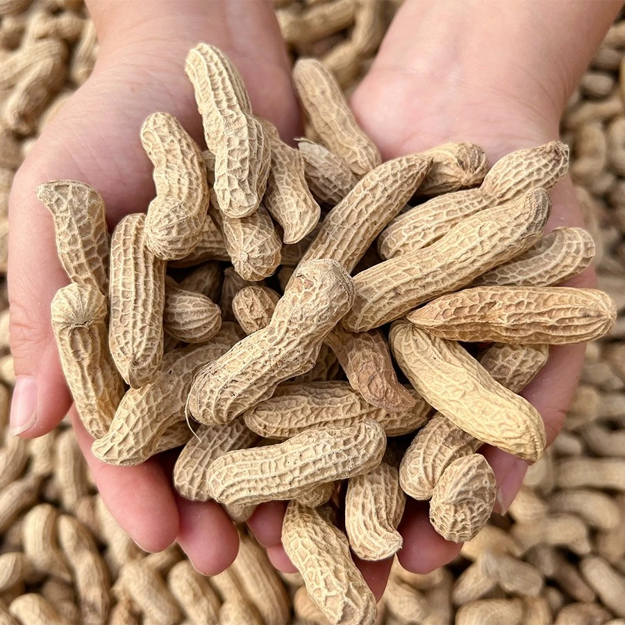 刘佐花生 黄梅农家麻壳精选炒熟花生袋装迟花生220克/袋