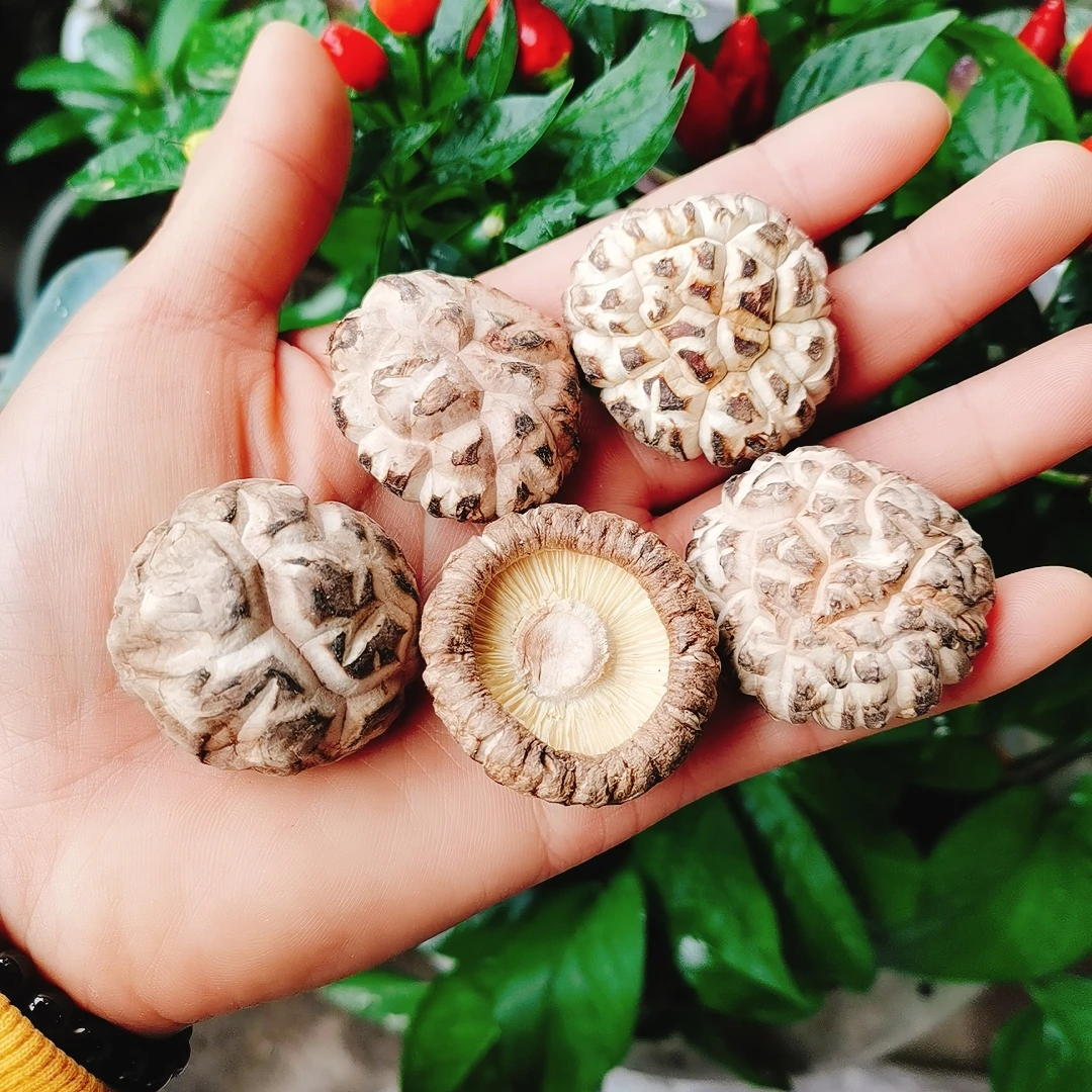 古田特产花菇无添加500g