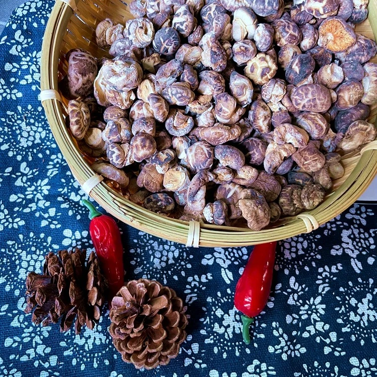 【金姐海味】精选小木菇