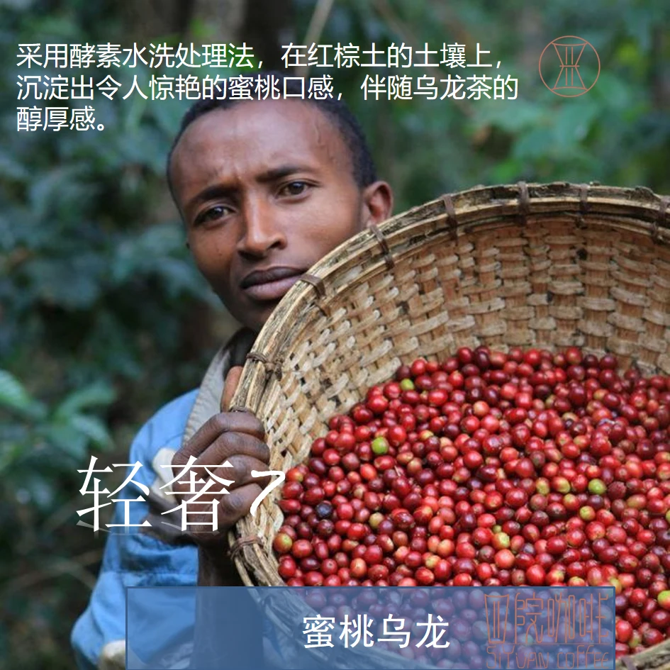 轻奢7 蜜桃乌龙 埃塞俄比亚 浅中 酵素水洗 咖啡豆 100g