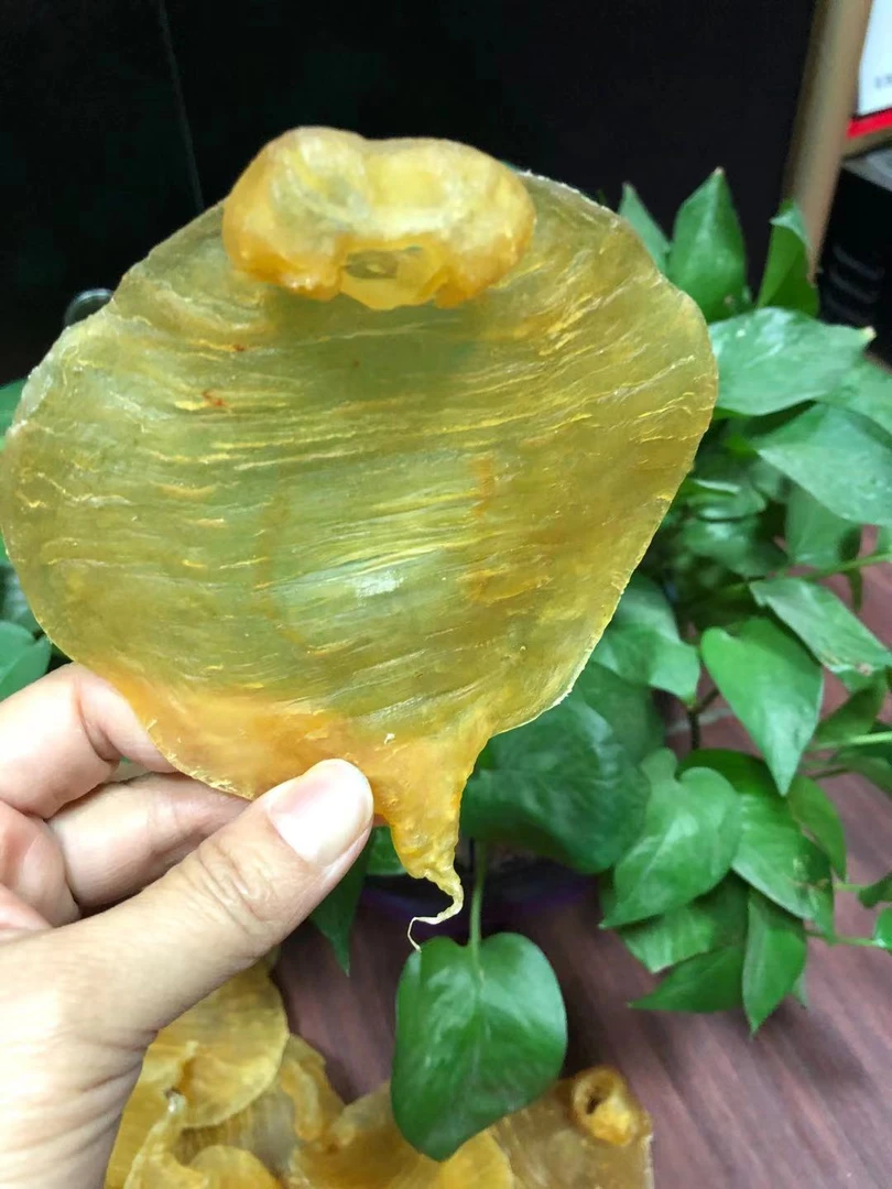 广东/瑞燕深海湛江赤嘴鳘鱼胶1～500g包邮