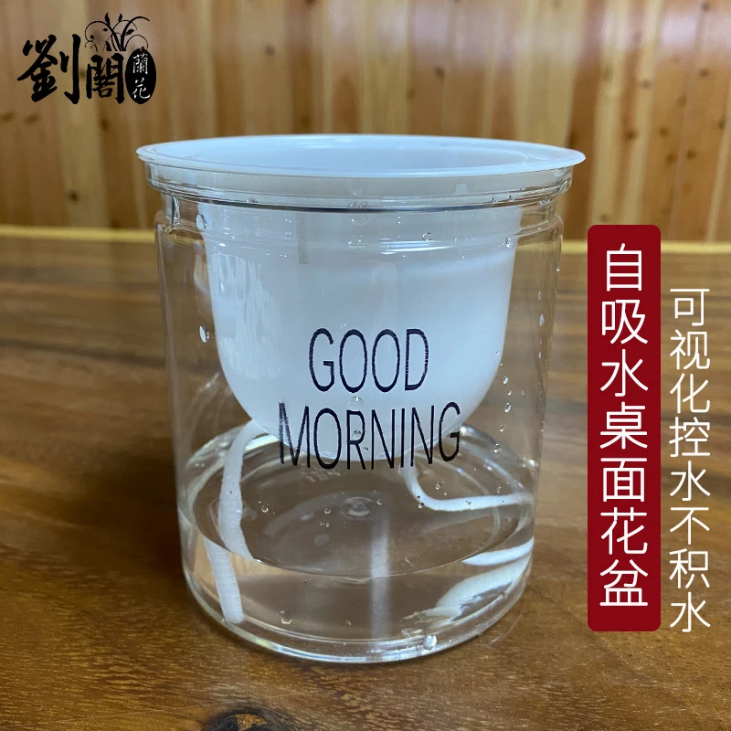 刘阁兰花 水培盆 懒人盆 适合文心兰水培花卉绿植盆栽 美观大气