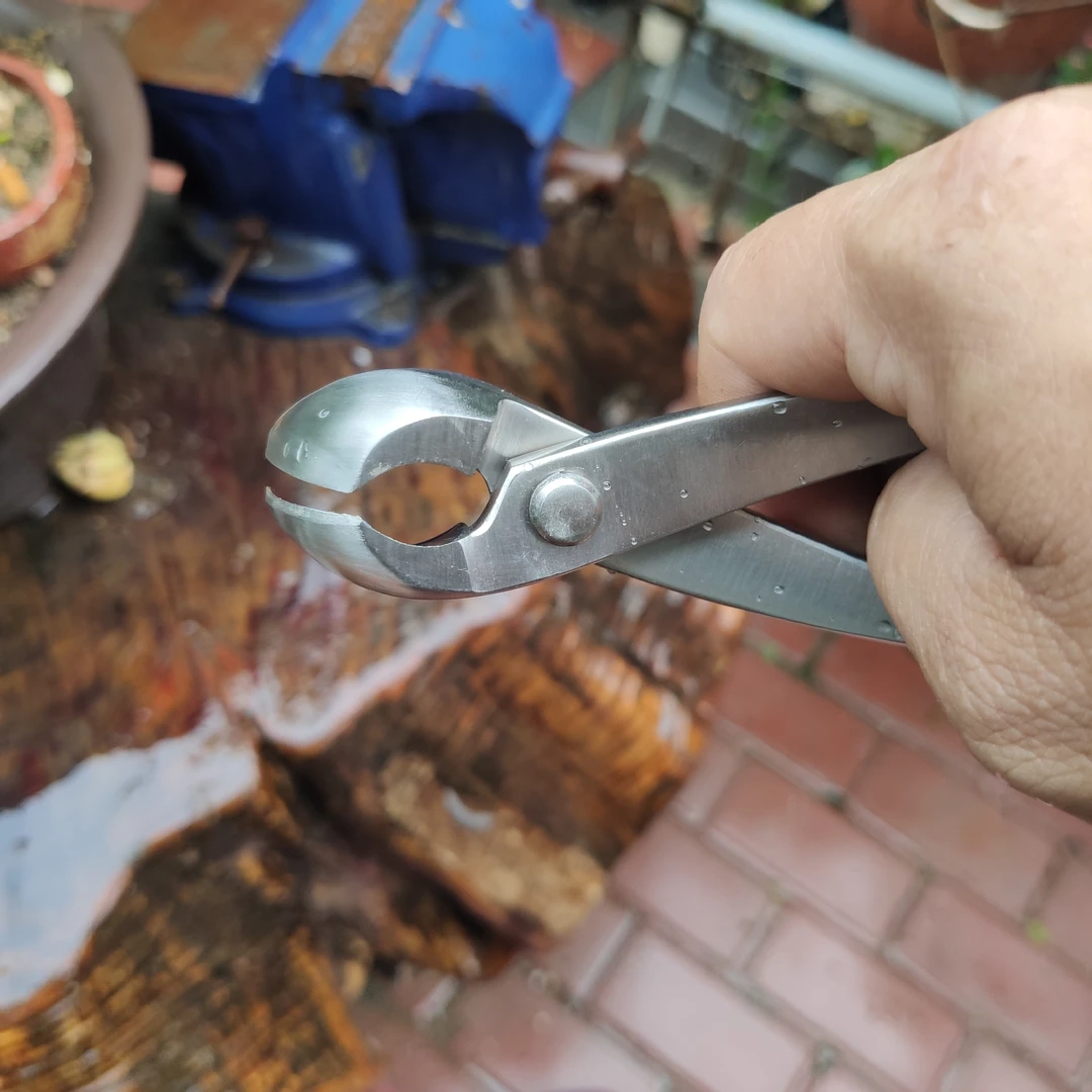 210型不锈钢斜口球剪，盆景工具，斜口球钳，树桩造型制作工具