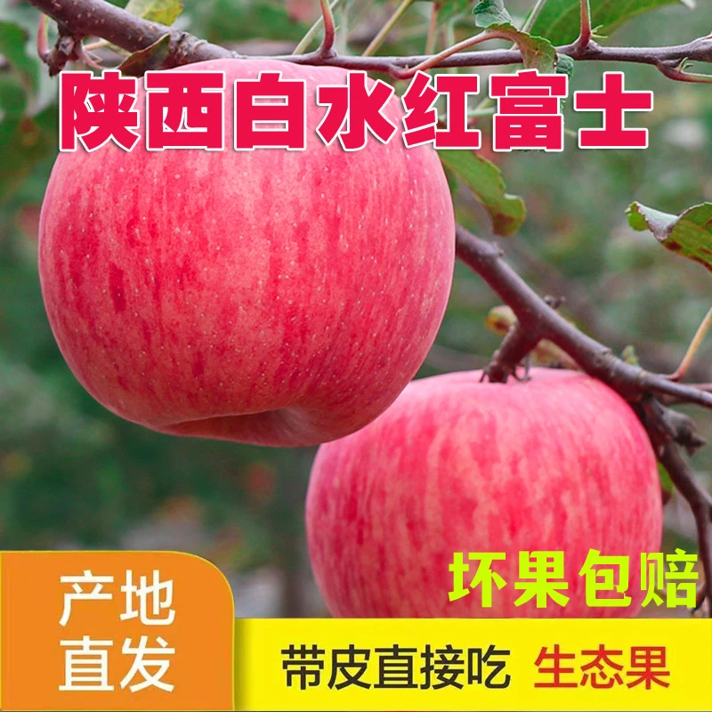 陕西白水红富士5斤/9斤装脆甜多汁 产地现发坏果包赔苹果