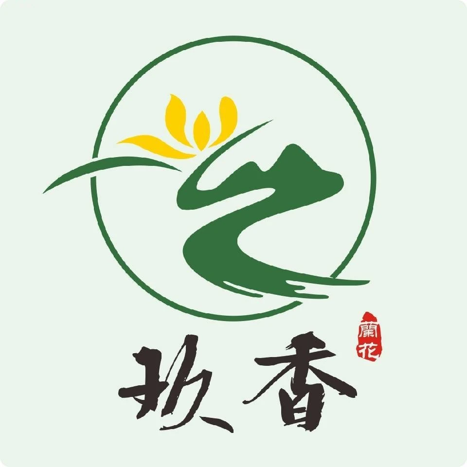 玖香花卉  兰花盆栽绿植专用二