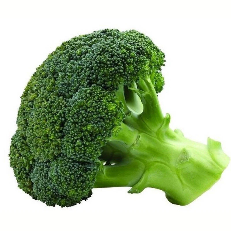 甘蓝苗有机菜花花菜苗西兰花苗叶菜种苗容易管理阳台庭院种植叶菜