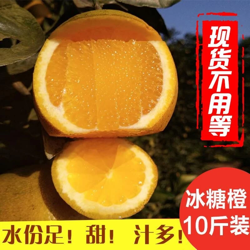 【清甜爽口】橙子湖南黔阳冰糖橙小叶橙非麻阳冰糖橙新鲜水果甜橙