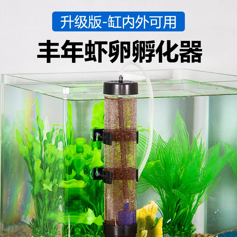 丰年虾孵化器卤虫孵化专业级孵化桶大红卵细卵丰年虾卵可孵化实用