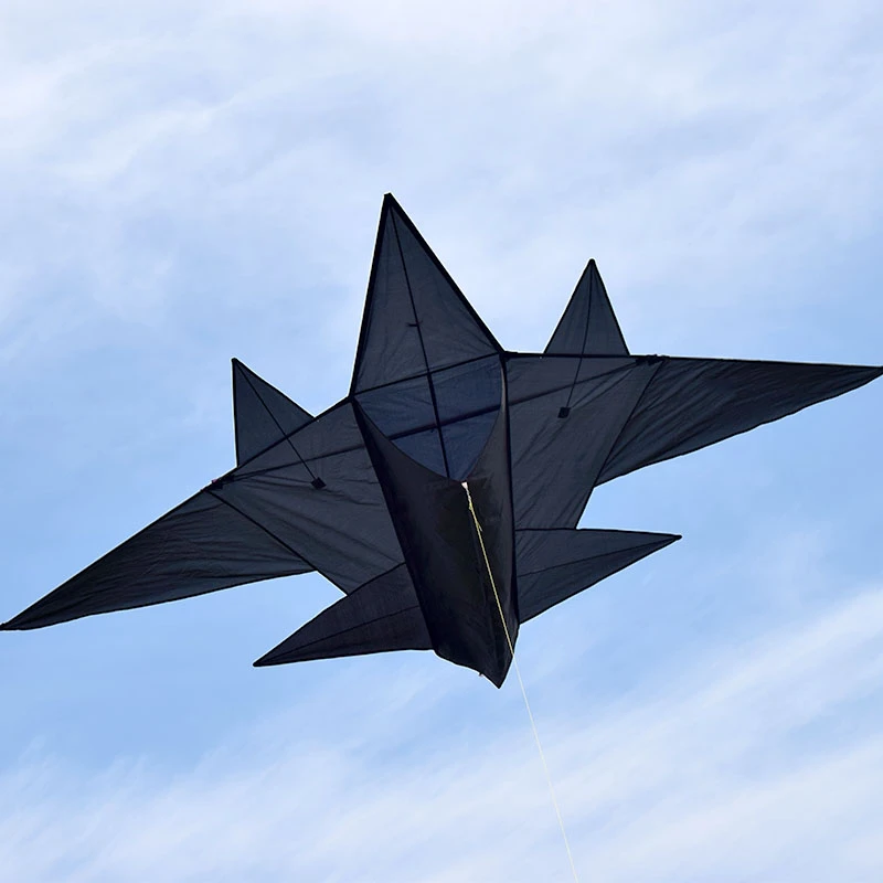 飞机风筝战斗机风筝潍坊风筝儿童风筝微风易飞潍坊专业卡通大风筝