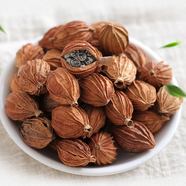 川砂香砂四川特产炖肉卤菜烧菜烹饪调料香辛料包邮100g/250g500g
