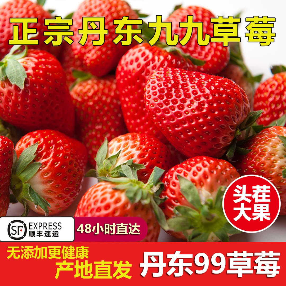 正宗丹东九九草莓新鲜久久奶油东港红颜99草莓顺丰包邮1.8斤