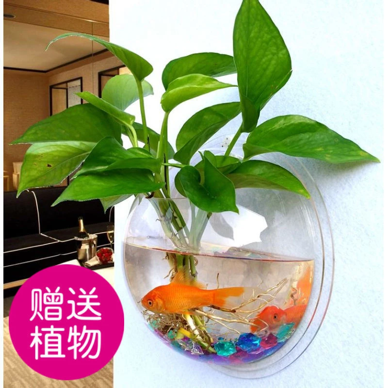 墙饰挂饰水培绿萝花盆壁挂鱼缸装扮房间装饰品卧室客厅背景墙壁饰