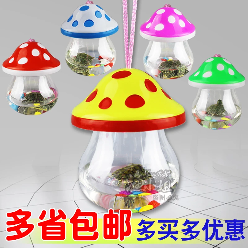 儿童乌龟盒塑料宠物盒透明金鱼缸手提蘑菇鱼瓶龟瓶迷你摆摊qq瓶