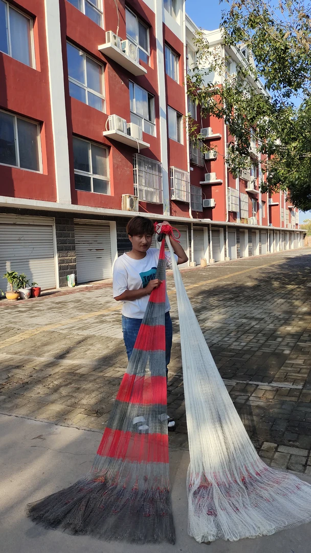 大力马线，一指3米