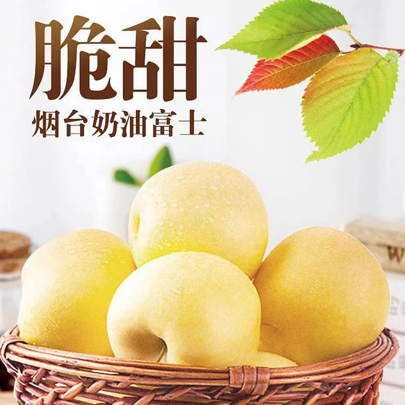 山东烟台黄金奶油富士苹果4.5斤装脆甜多汁当季新鲜水果黄苹果