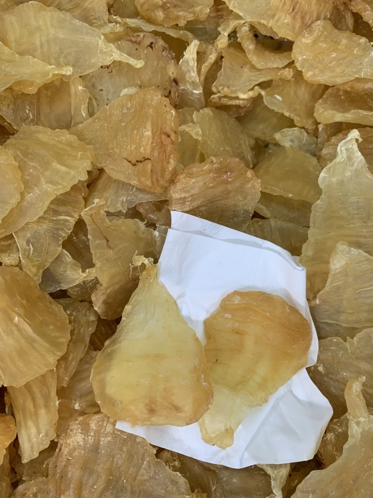 广东12头双牙胶500g