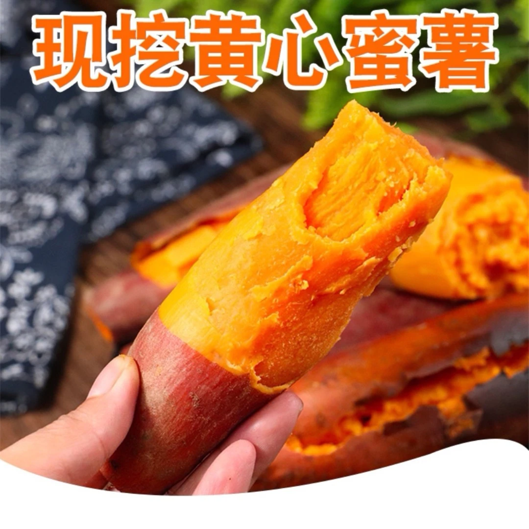 【坏果包赔】河南清丰沙地西瓜红蜜薯产品新鲜现发香甜好吃五斤包邮