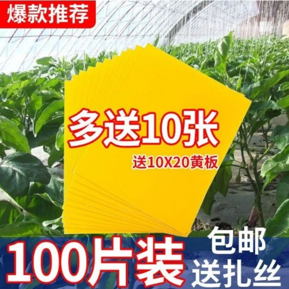 粘虫诱虫板双面特粘农用粘虫板果园茶园花卉黄板蓝板针蜂蓟马果蝇