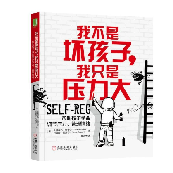 我不是坏孩子，我只是ya力大学校心理学咨询师实践